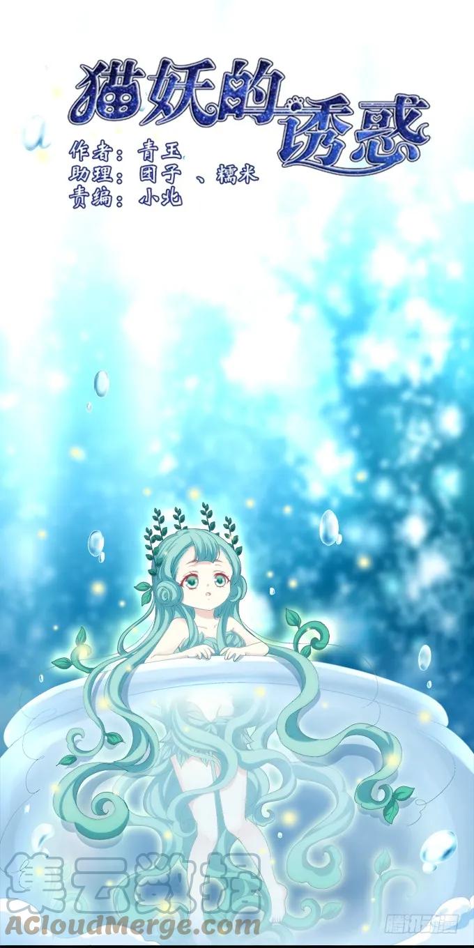 《猫妖的诱惑》养成少女 第1页