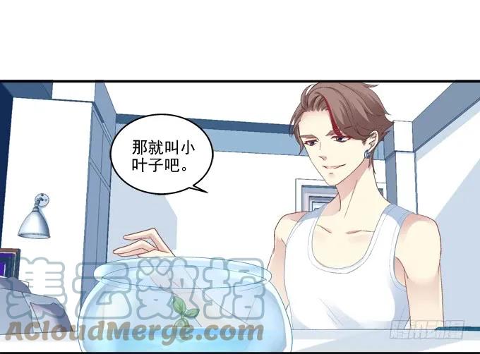 《猫妖的诱惑》养成少女 第21页