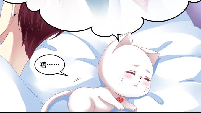 《猫妖的诱惑》你就从了我吧 第29页