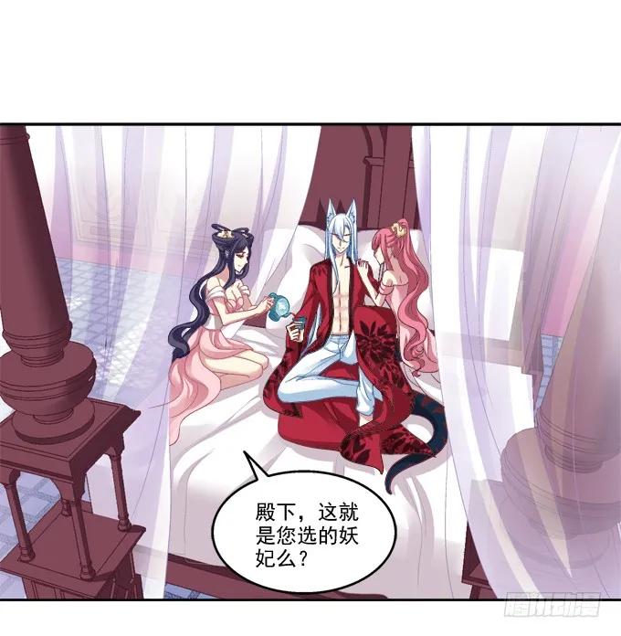 《猫妖的诱惑》你就从了我吧 第2页