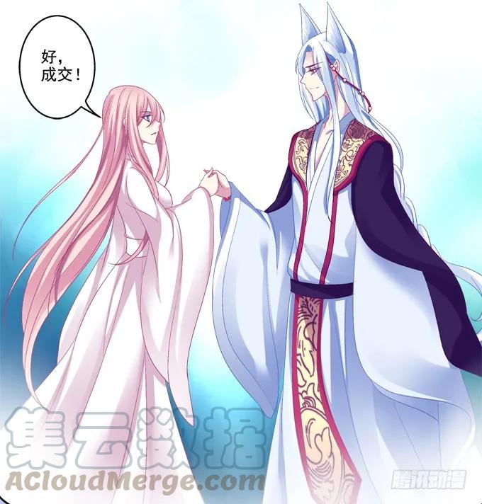 《猫妖的诱惑》你就从了我吧 第28页
