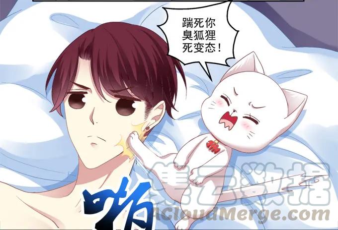 《猫妖的诱惑》你就从了我吧 第31页