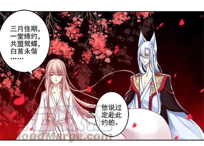 《猫妖的诱惑》你就从了我吧 第16页