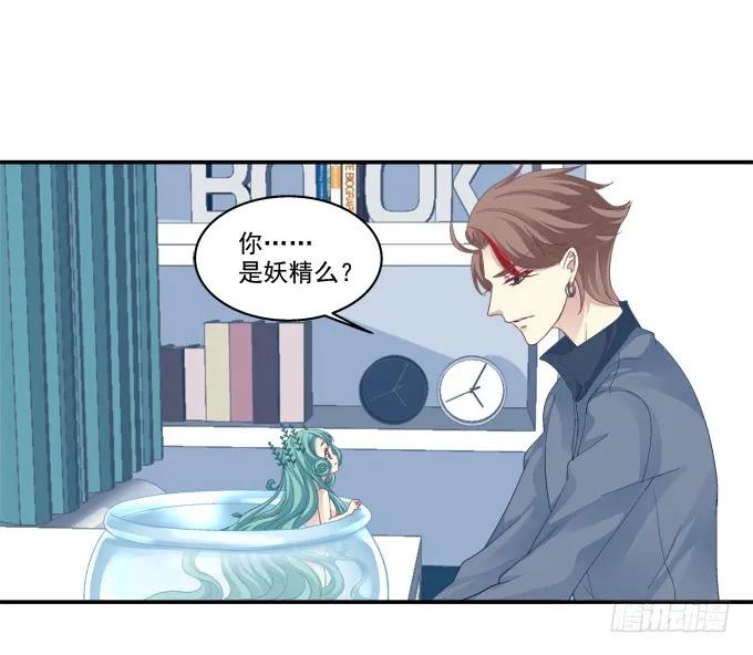 《猫妖的诱惑》相濡以沫 第4页