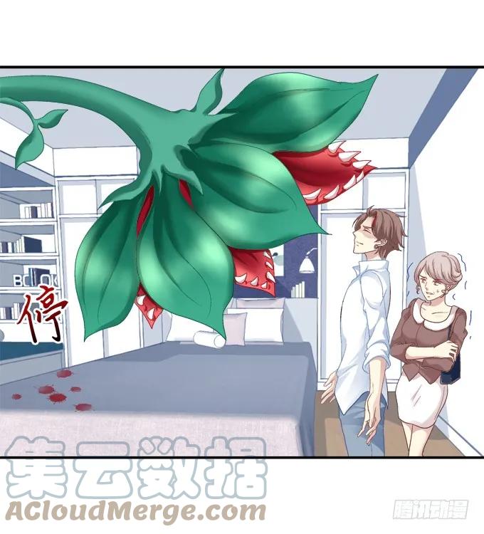 《猫妖的诱惑》原形毕露 第36页
