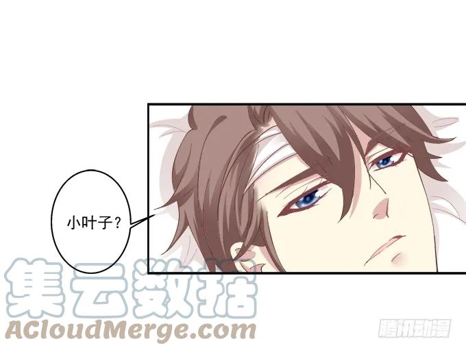《猫妖的诱惑》表明心迹 第31页
