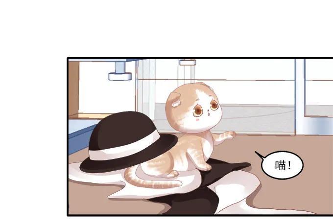 《猫妖的诱惑》冉冉等我 第42页