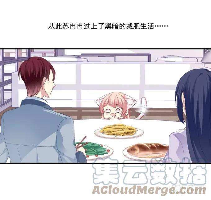 《猫妖的诱惑》七夕番外 第15页