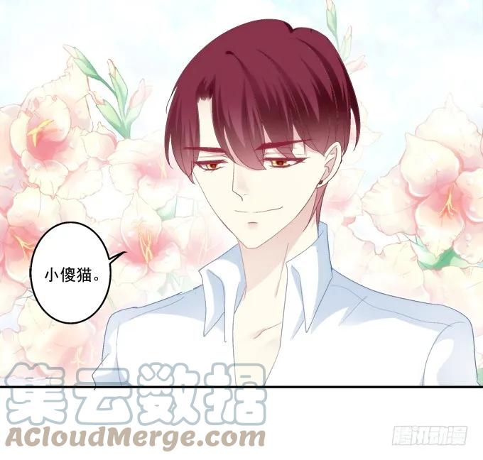 《猫妖的诱惑》七夕番外 第29页