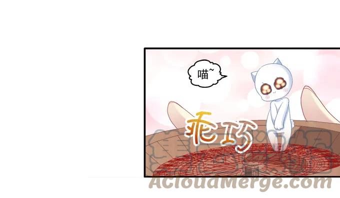 《猫妖的诱惑》植物vs天师 第11页