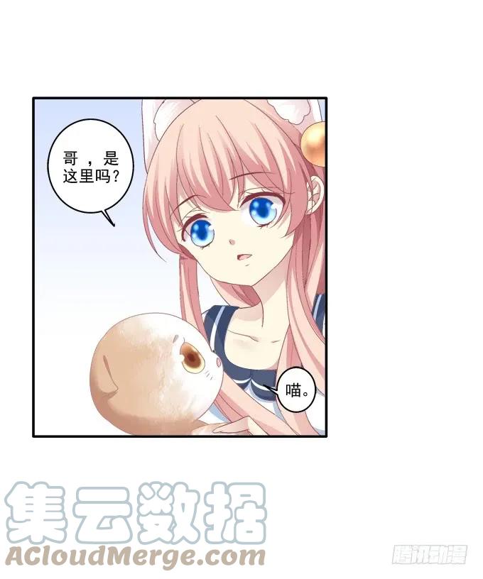 《猫妖的诱惑》植物vs天师 第3页