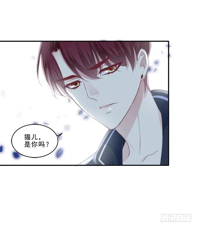《猫妖的诱惑》身份曝光？ 第23页