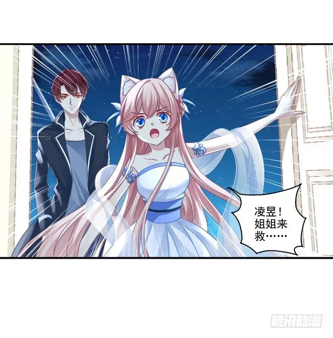 《猫妖的诱惑》拯救凌昱？ 第42页