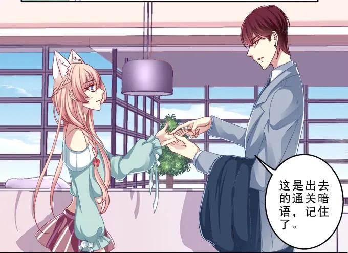 《猫妖的诱惑》你是我的小宝贝 第12页