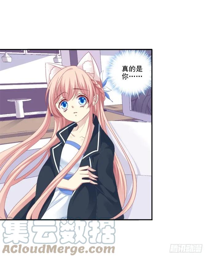 《猫妖的诱惑》生生死死 第40页