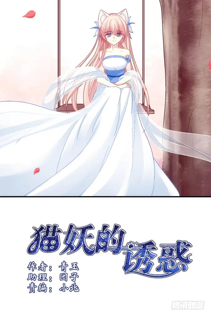 《猫妖的诱惑》又见妖王 第2页