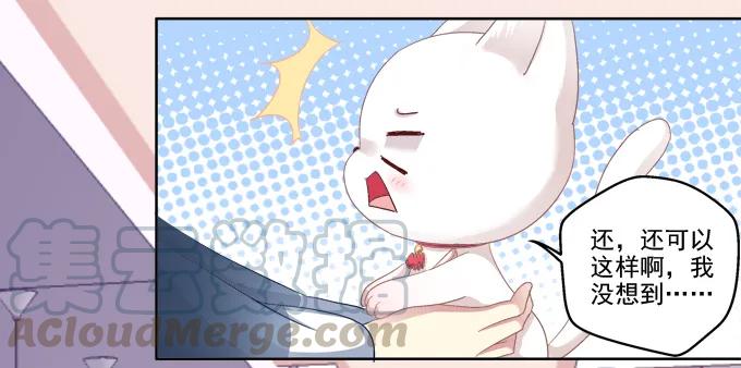 《猫妖的诱惑》猫咪爱吃鱼 第19页
