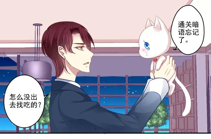 《猫妖的诱惑》猫咪爱吃鱼 第15页