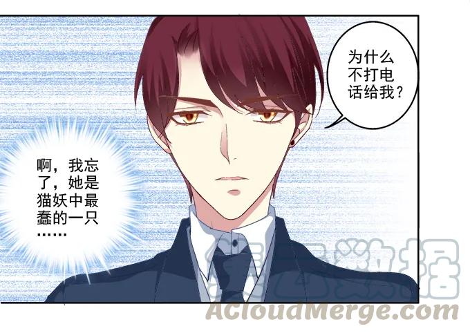 《猫妖的诱惑》猫咪爱吃鱼 第16页