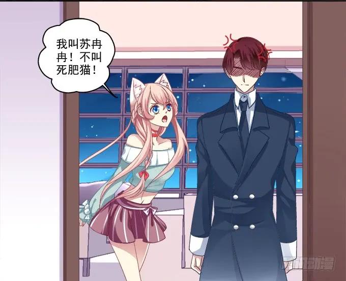 《猫妖的诱惑》猫咪爱吃鱼 第24页