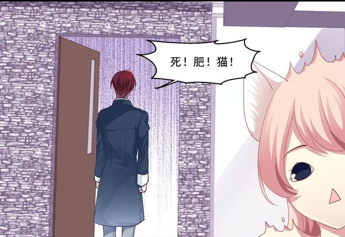 《猫妖的诱惑》猫咪爱吃鱼 第23页