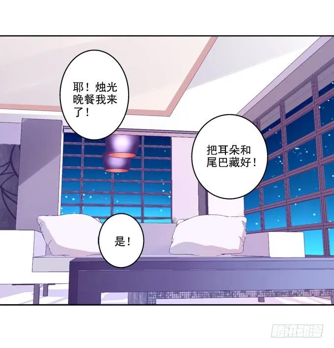 《猫妖的诱惑》猫咪爱吃鱼 第30页