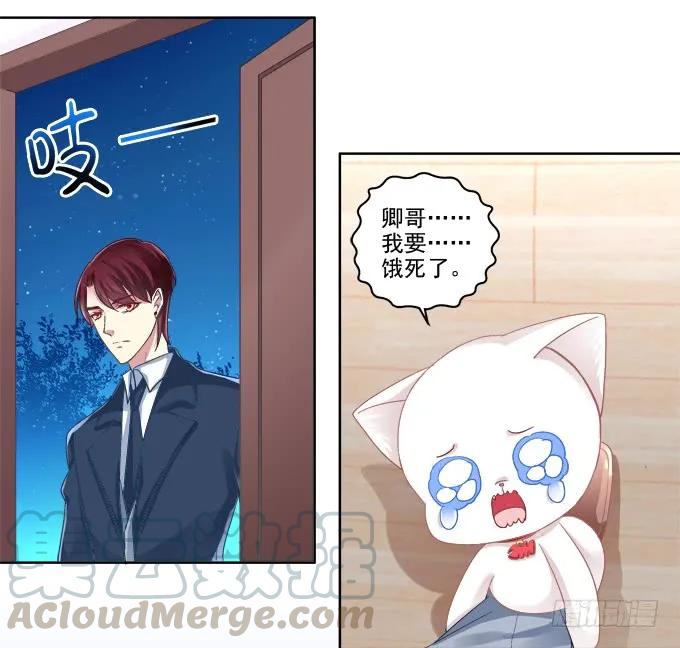 《猫妖的诱惑》猫咪爱吃鱼 第13页