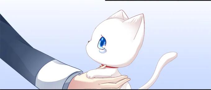 《猫妖的诱惑》猫咪爱吃鱼 第14页