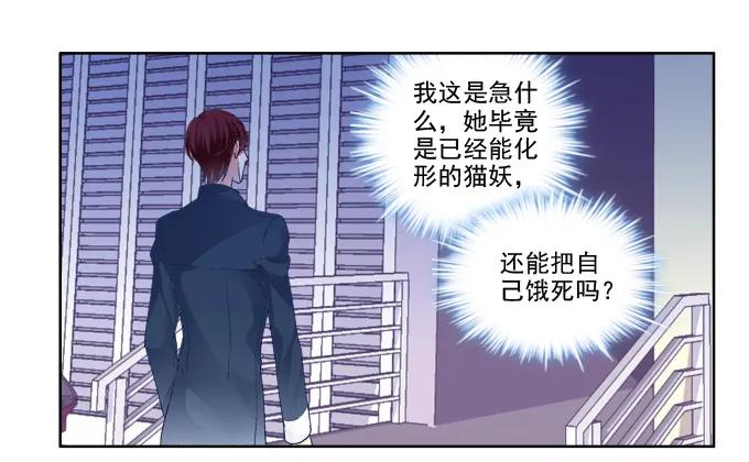 《猫妖的诱惑》猫咪爱吃鱼 第12页