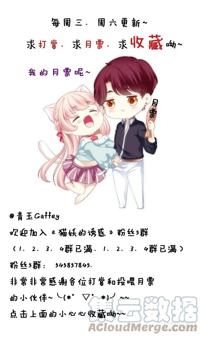 《猫妖的诱惑》命中注定 第46页