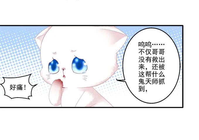 《猫妖的诱惑》春心萌动 第12页