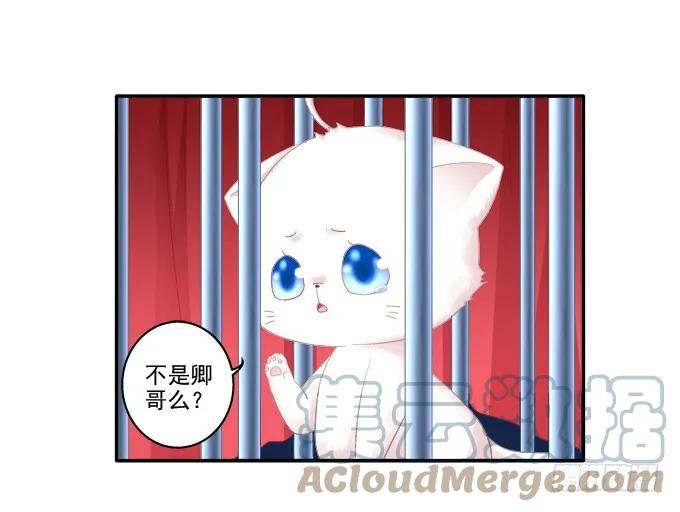 《猫妖的诱惑》春心萌动 第10页