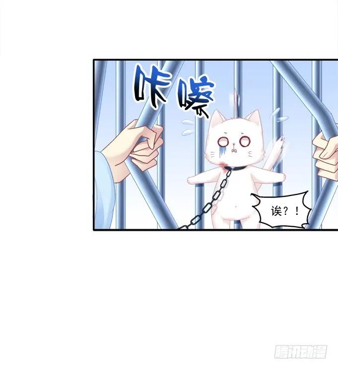 《猫妖的诱惑》英雄救喵 第23页