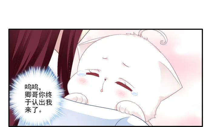 《猫妖的诱惑》英雄救喵 第26页