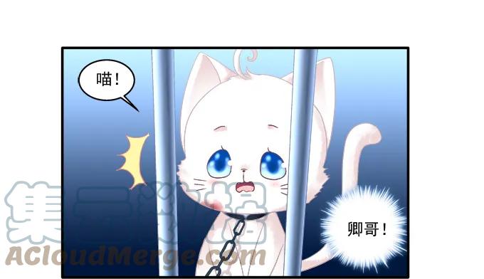《猫妖的诱惑》英雄救喵 第16页