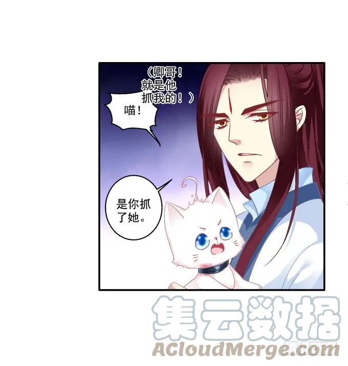 《猫妖的诱惑》英雄救喵 第37页