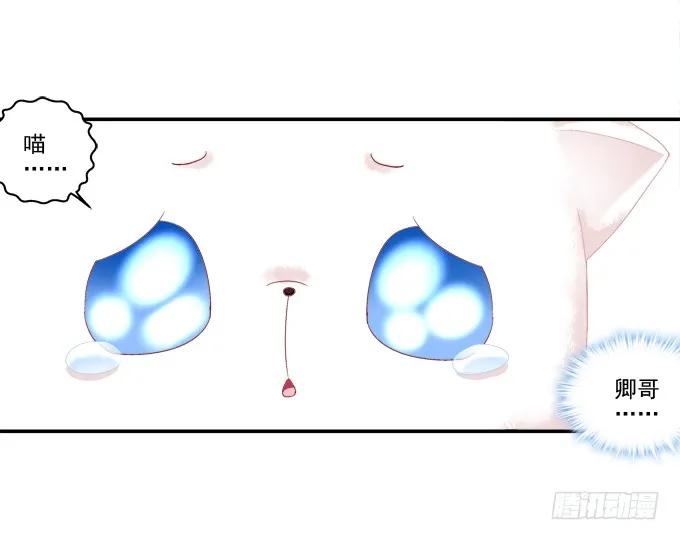 《猫妖的诱惑》英雄救喵 第20页