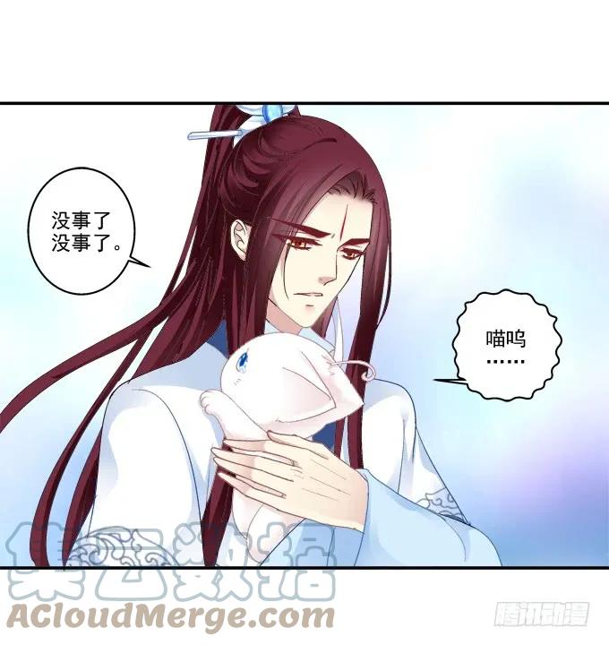 《猫妖的诱惑》英雄救喵 第25页