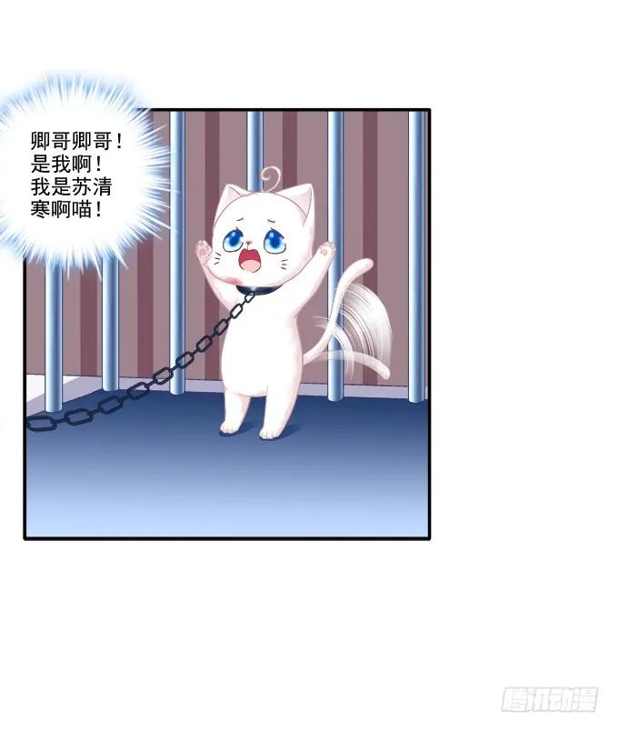 《猫妖的诱惑》英雄救喵 第18页