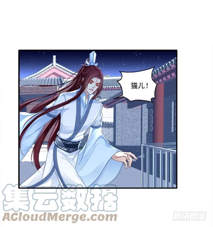 《猫妖的诱惑》英雄救喵 第22页