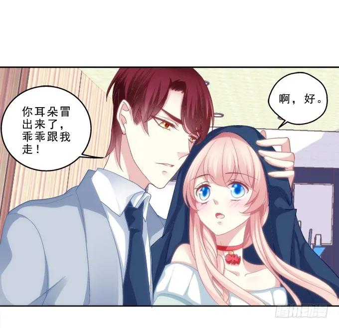 《猫妖的诱惑》前世的记忆 第4页