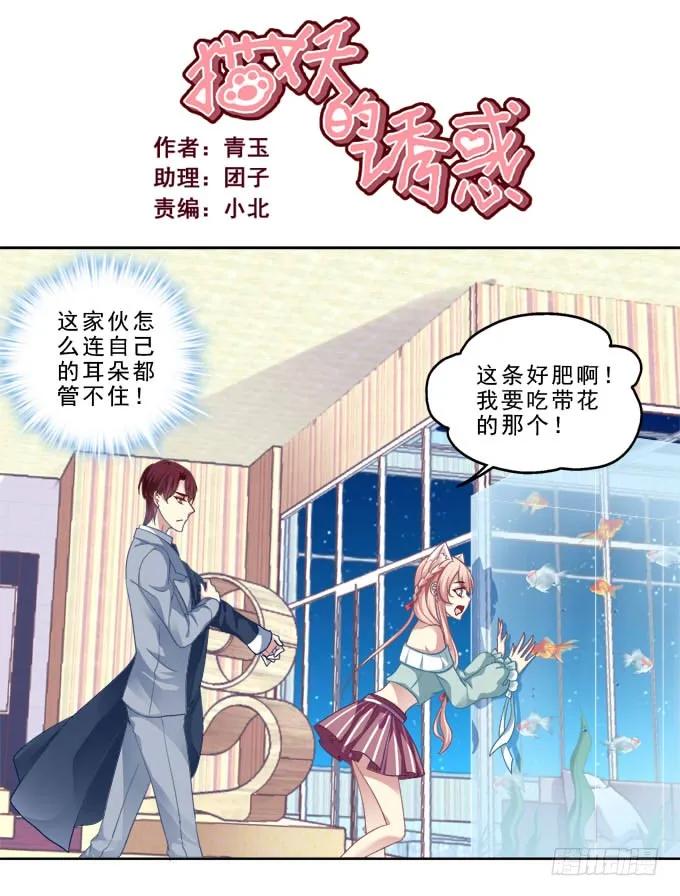 《猫妖的诱惑》前世的记忆 第2页
