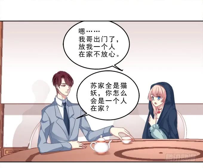 《猫妖的诱惑》前世的记忆 第10页