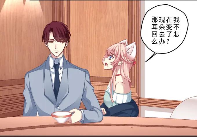 《猫妖的诱惑》前世的记忆 第15页