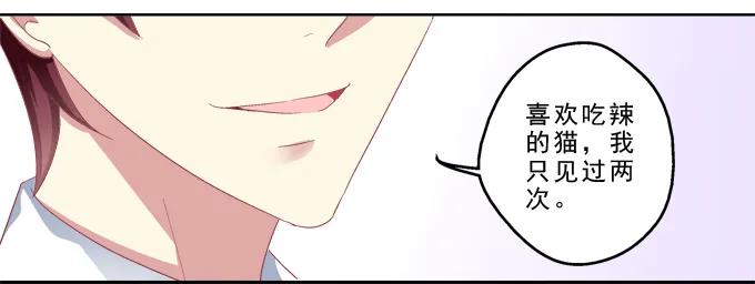 《猫妖的诱惑》前世的记忆 第23页