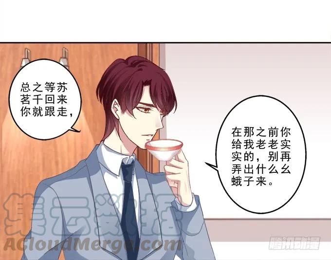 《猫妖的诱惑》前世的记忆 第13页