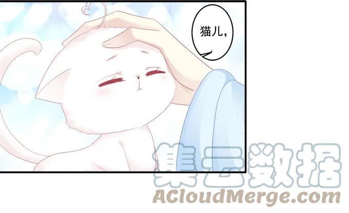 《猫妖的诱惑》卿卿我我 第25页