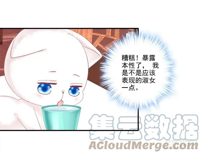 《猫妖的诱惑》卿卿我我 第19页