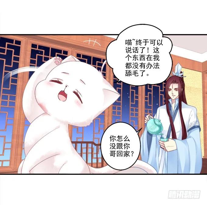 《猫妖的诱惑》卿卿我我 第14页