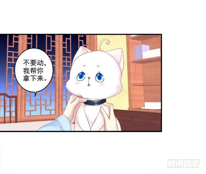 《猫妖的诱惑》卿卿我我 第12页